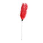 1625142971.ET254RED