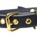 1625157641.AG456-Black