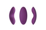 1645789427.SVA-39645-Violet_1645789427-8955_5