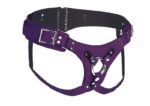 1691652931.ah143-purple_3