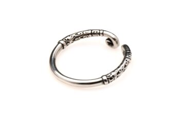 Master Series - Roestvrijstalen Glansring - Zilver