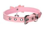 1625157641.AG456-Pink