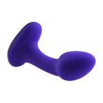 1720607130.116581-purple_2