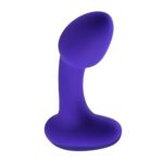 1720607130.116581-purple_2
