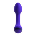 1720607130.116581-purple_2