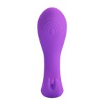 1726652006.116829-purple