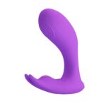 1726652006.116829-purple