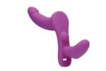 1736496558.120389-purple_4