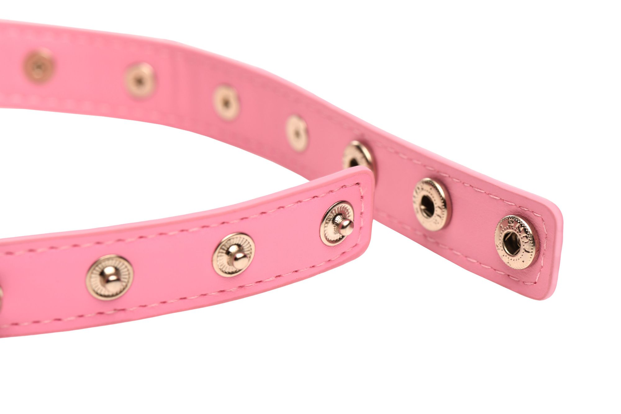 1736923918.116983-pink_5