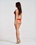 1737108434.120325-red_4