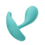 1737359880.116911-turquoise_5