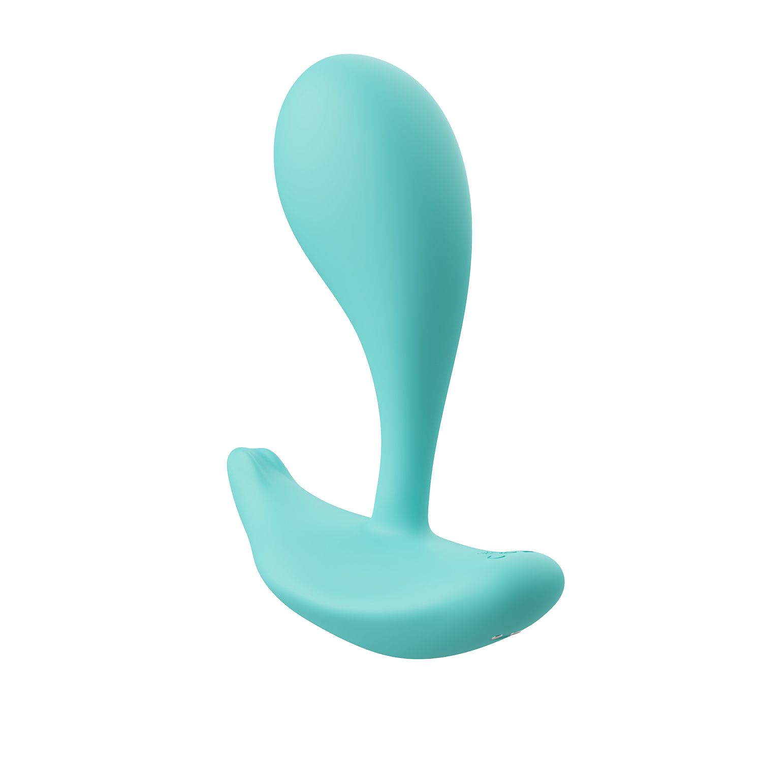 1737359880.116911-turquoise_4