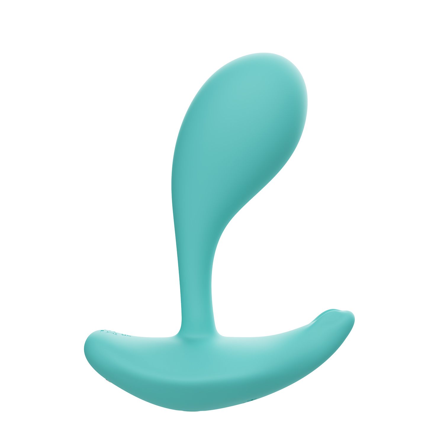 1737359880.116911-turquoise_5