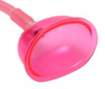 1738927332.120440-pink