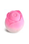 1739259273.120432-pink_11