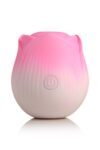 1739259273.120432-pink_11