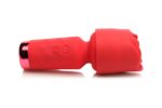 1739260703.120431-red_7