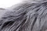 1739429771.120400-grey_10