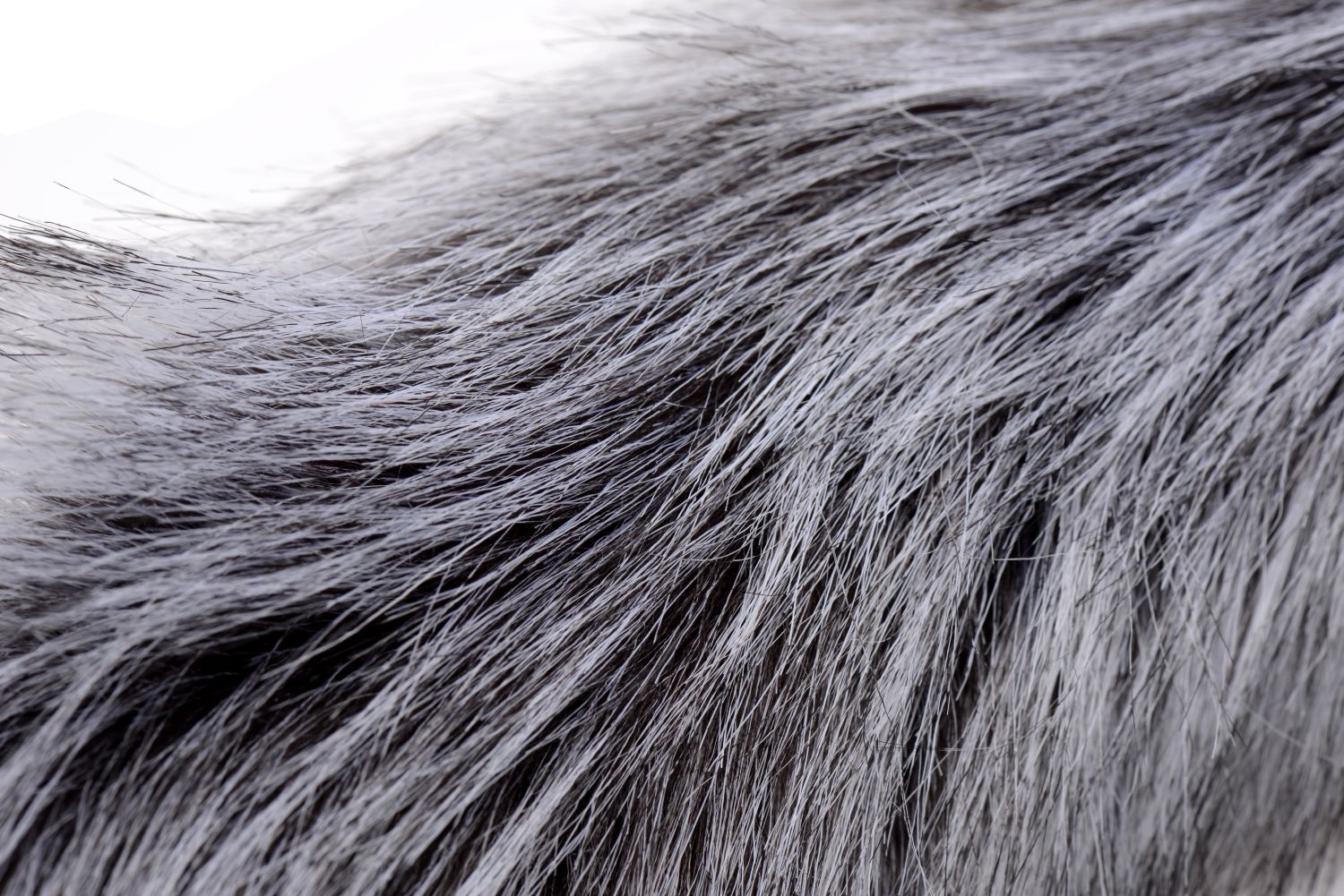 1739429771.120400-grey_5