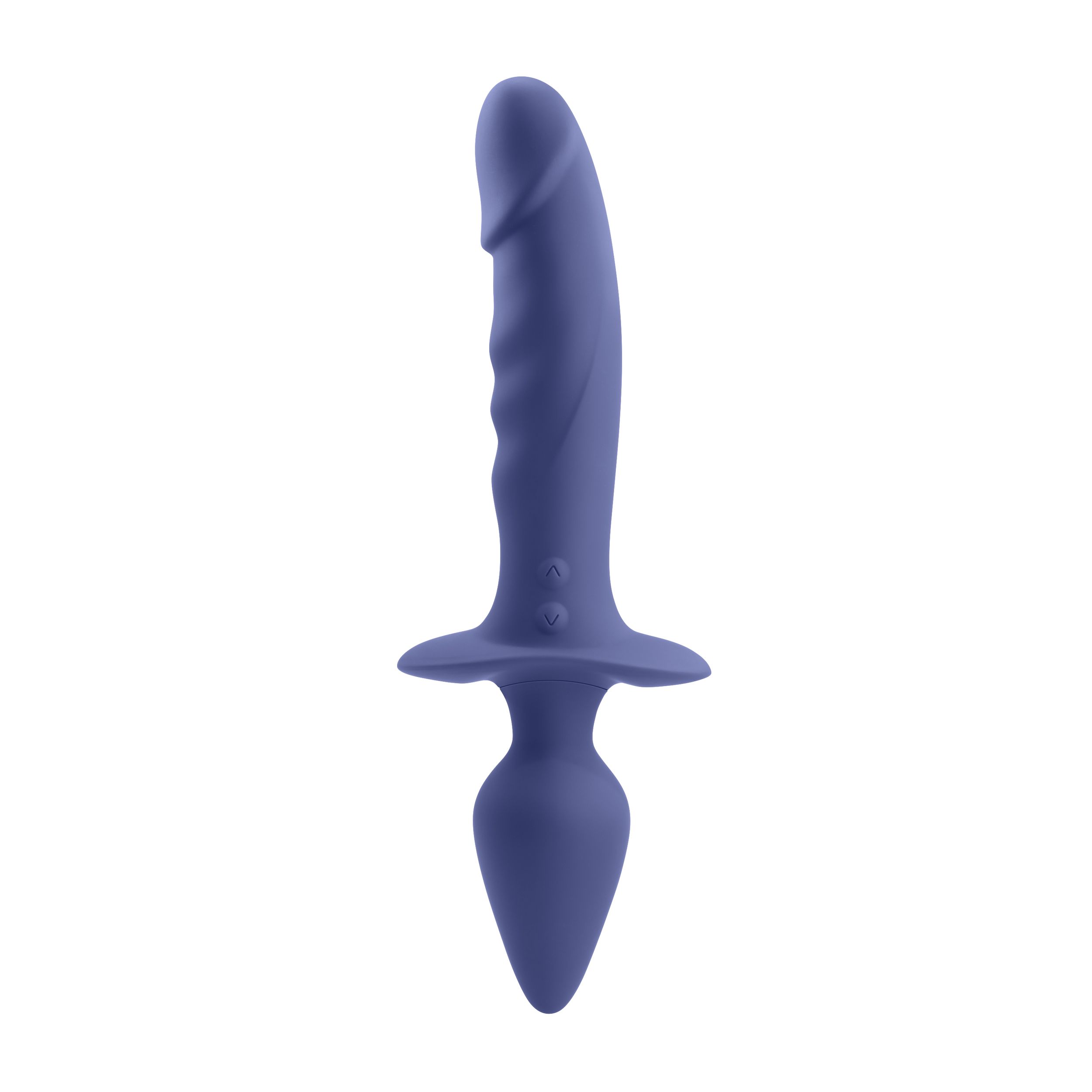 1740752772.120107-purple_2