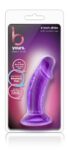 1741257012.120310-purple_2