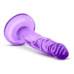 1741258485.120309-purple_9