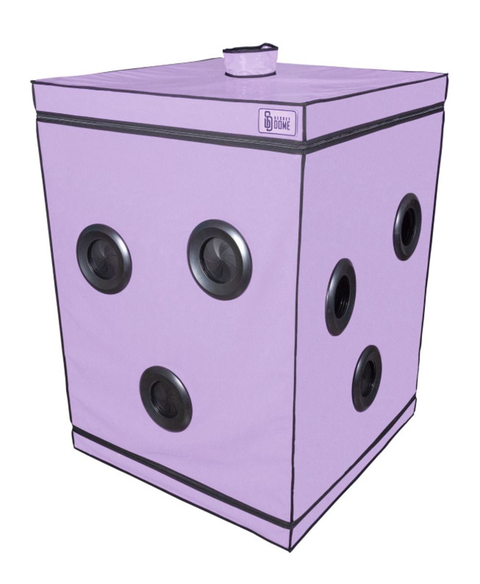 1756365712.120760-purple