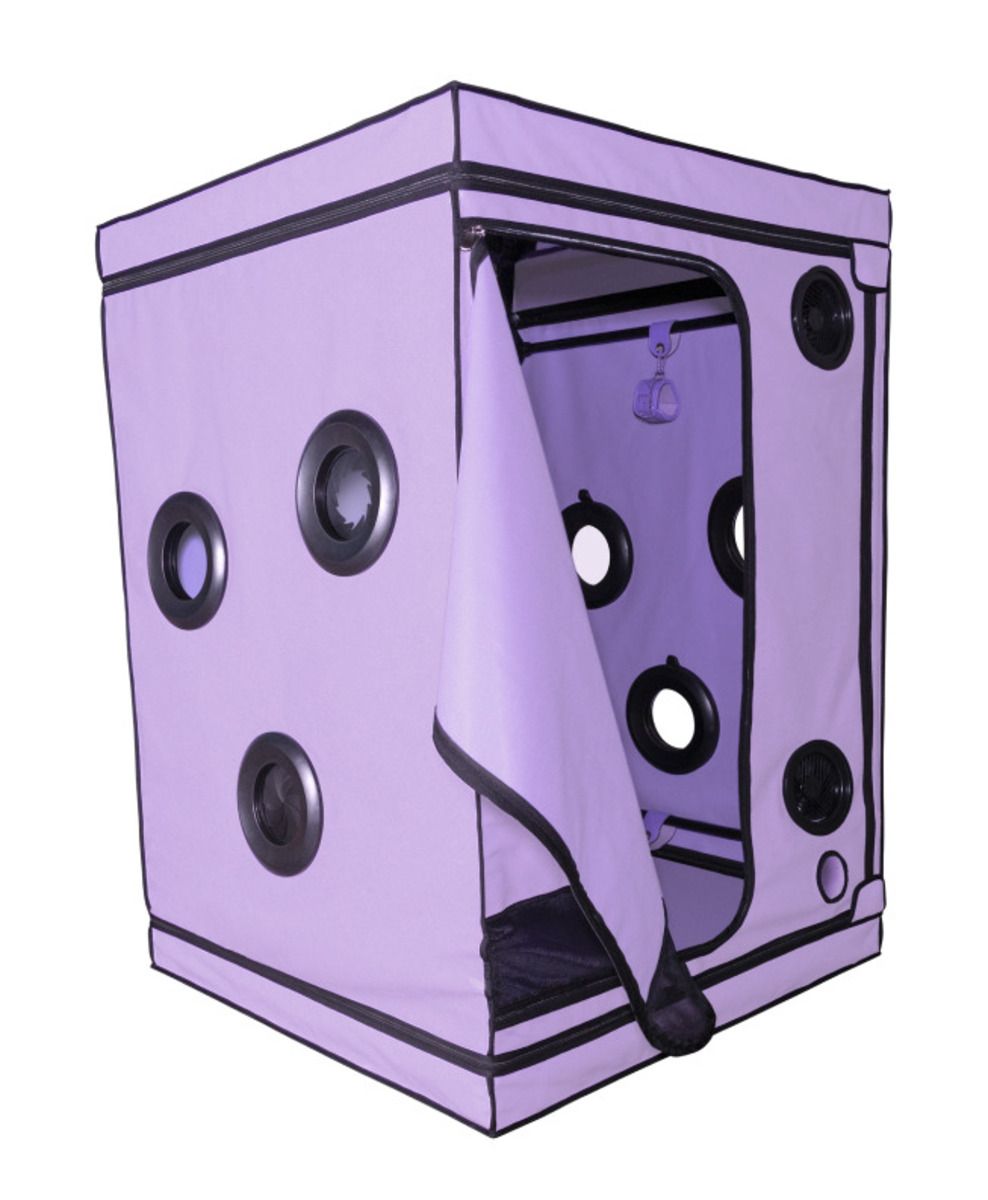 1756365712.120760-purple_3