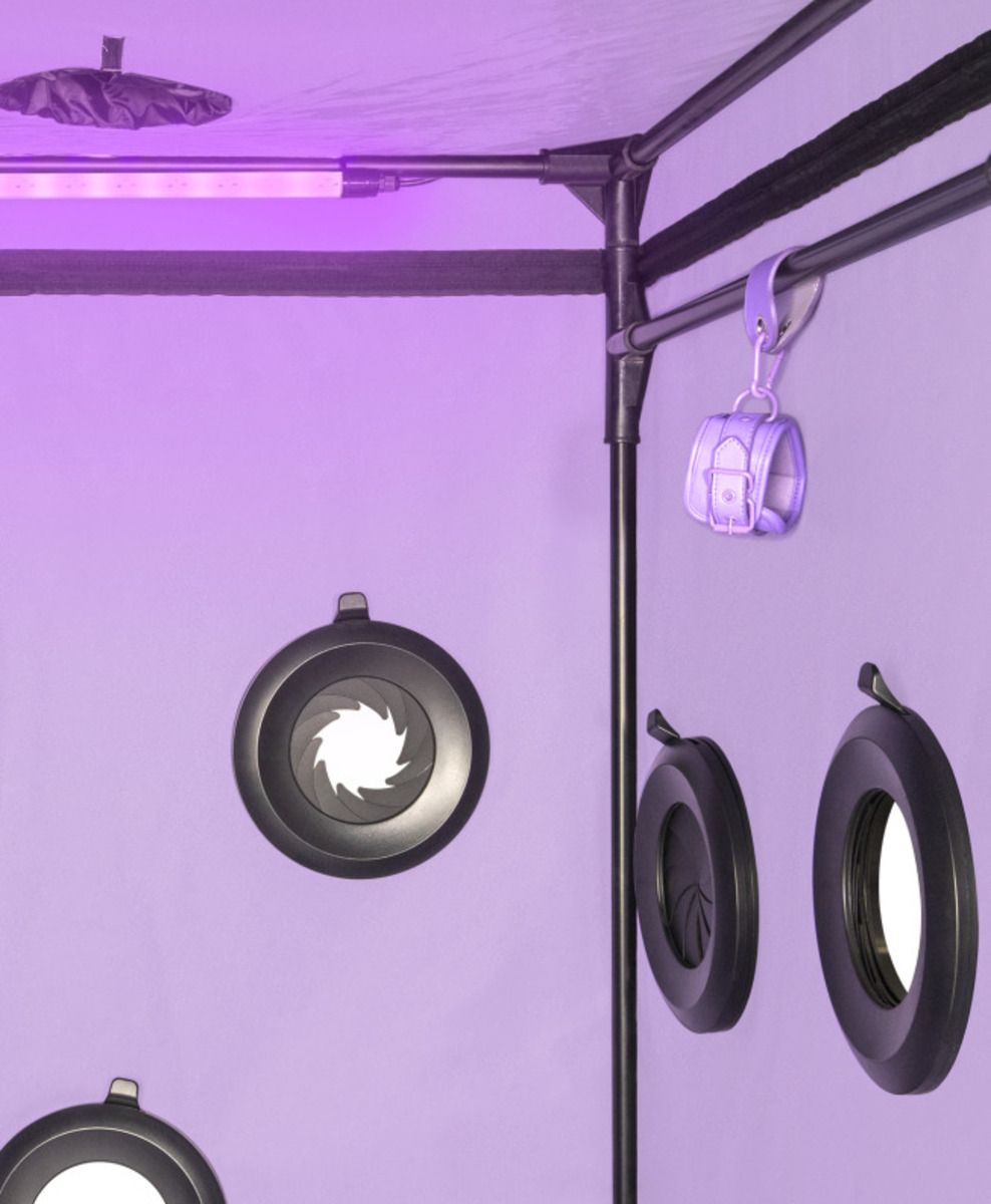 1756365712.120760-purple_4