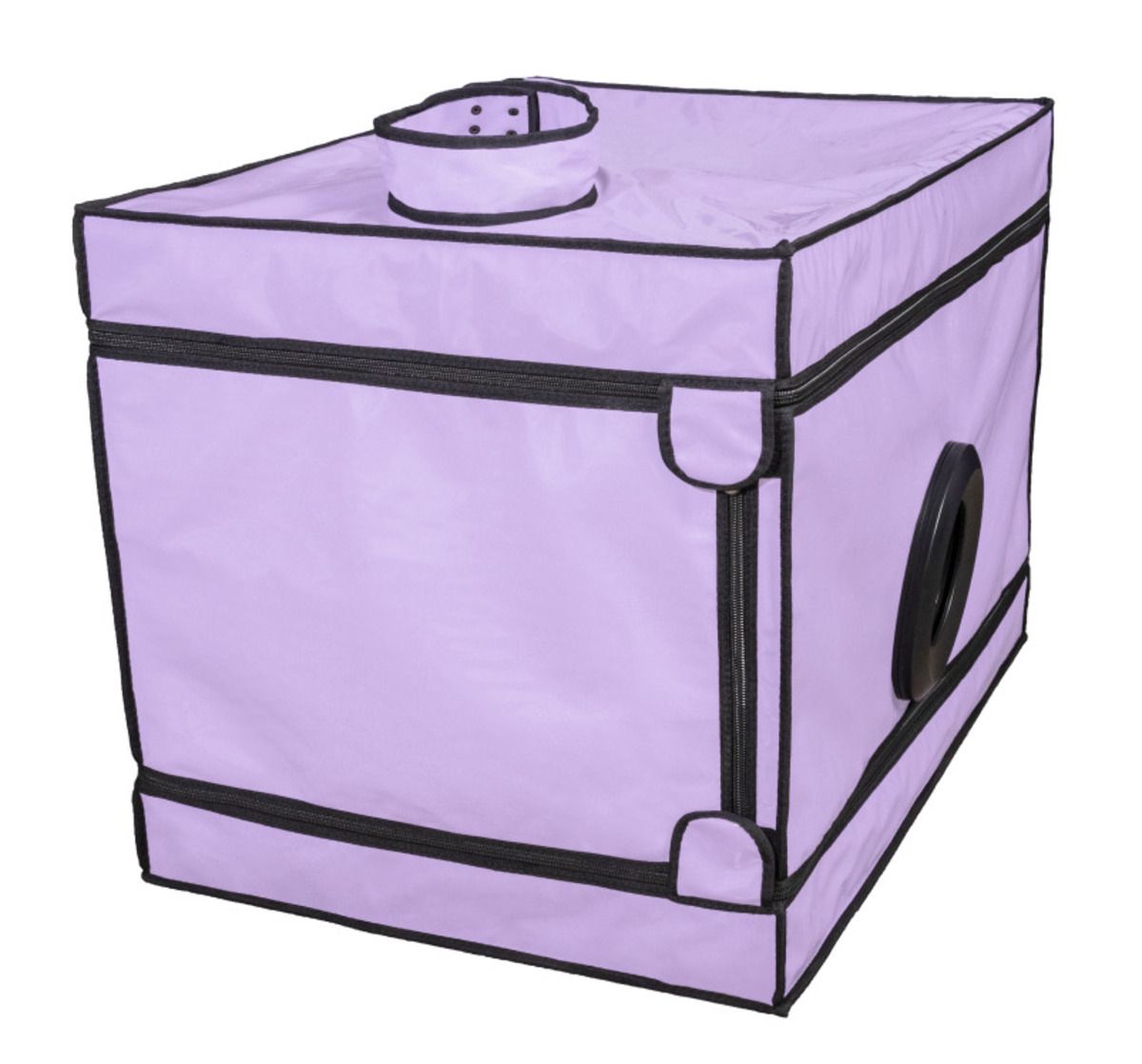 1756369733.120759-purple_2