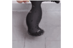 1770205571.pgr001_4