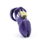1758264796.120788-purple
