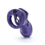 1758264796.120788-purple