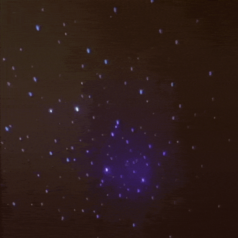1761028827.e35270_14