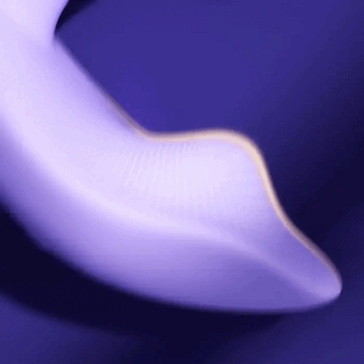 1763641705.121191-purple_6