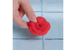 1769084966.120937-red_3