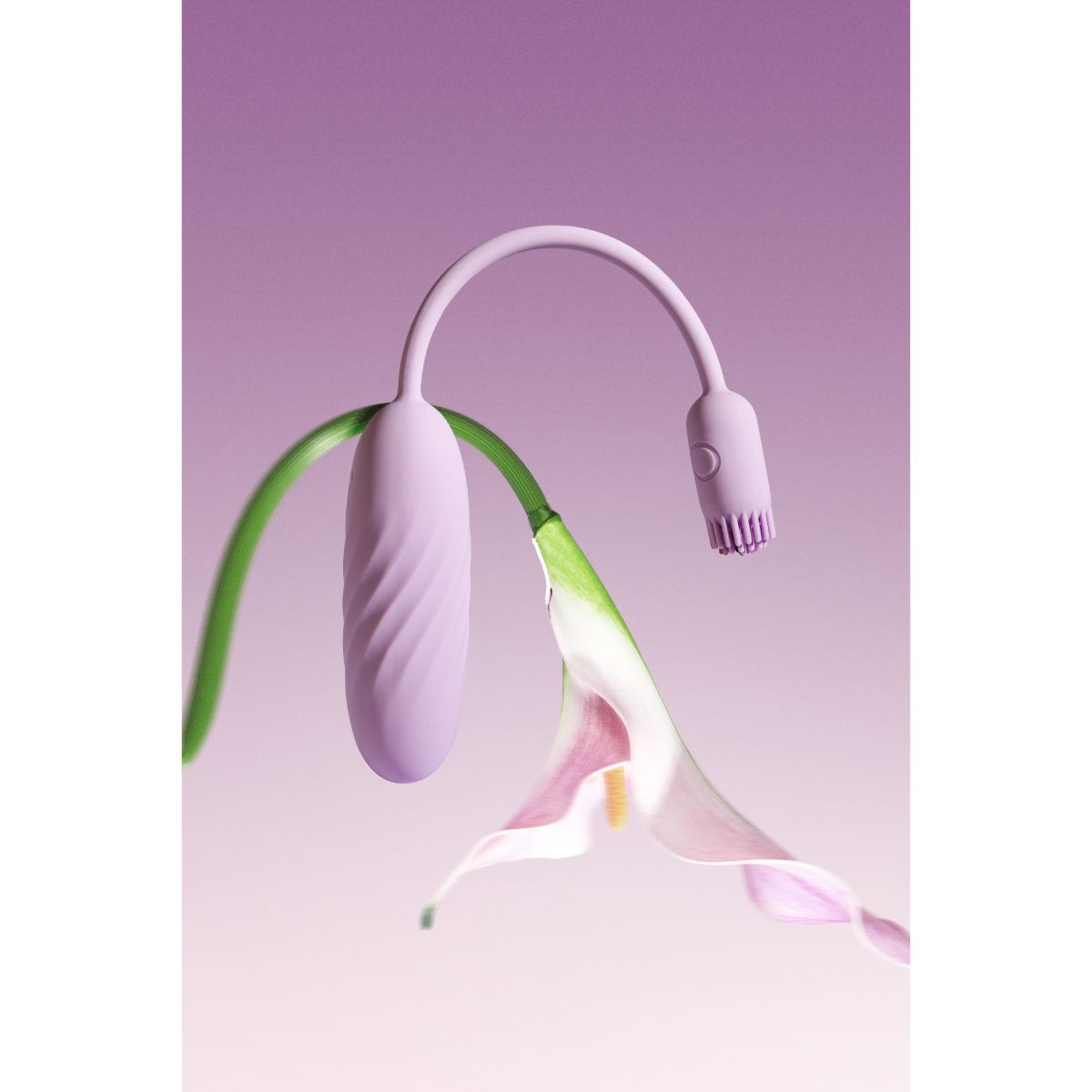 1772096961.121550-purple_3