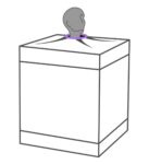1756367851.120758-purple
